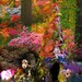 Fairy House, Miniature House, Masquerade, Fairy Light, Woodland Fairies, Fairies, Fairy Art