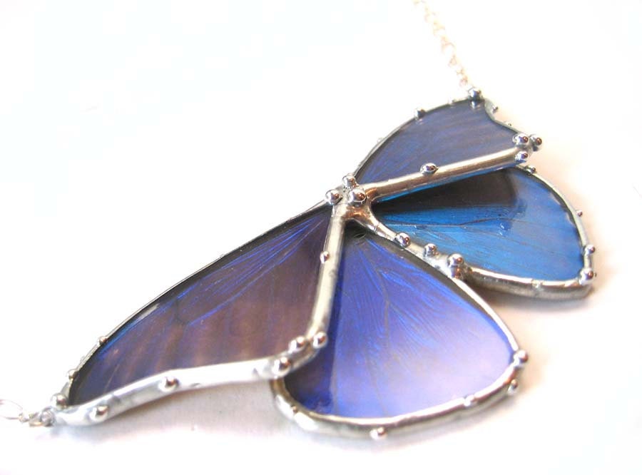 Blue Morpho Butterfly Necklace - Real Butterfly