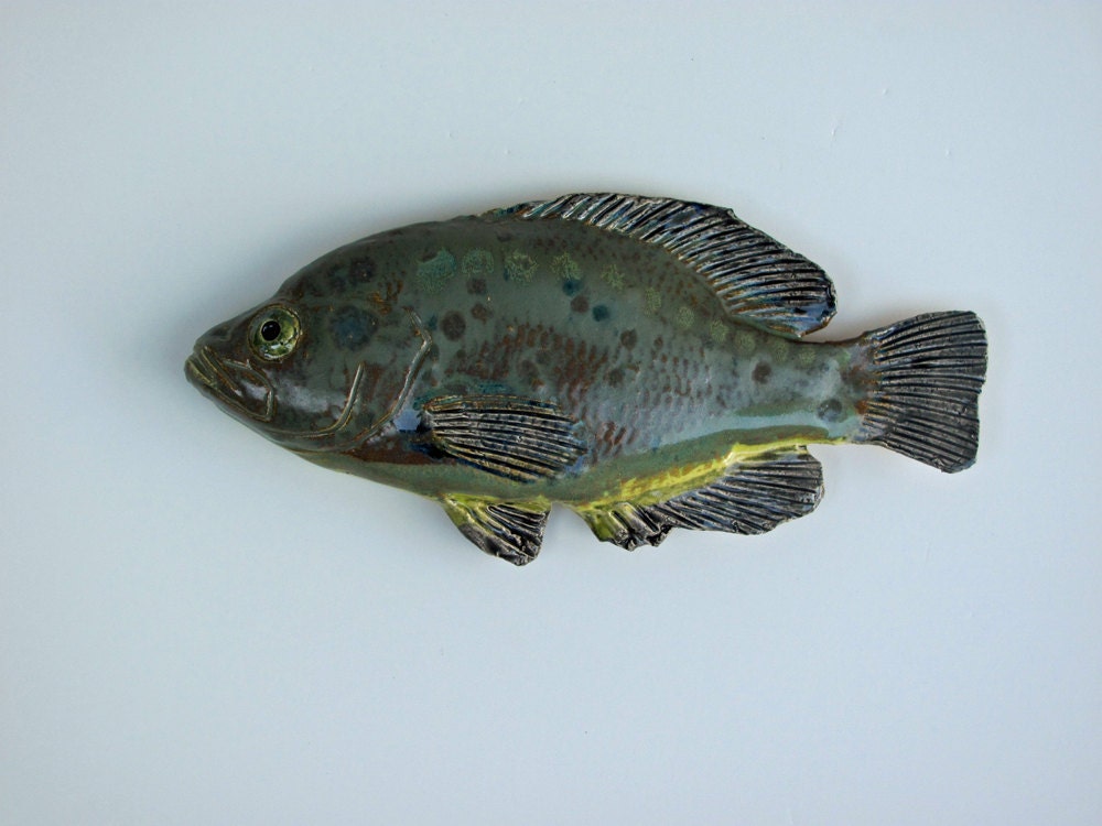 Rock Bass Ceramic fish art decorative wall hanging Number 2