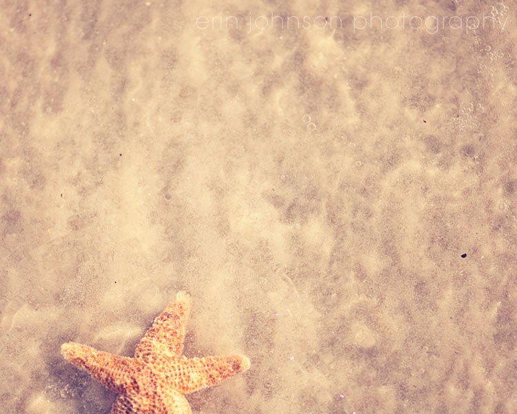 beach photography beige decor starfish art decor ocean photography fine art photography wall art beach home decor The One that Got Away 8x10
