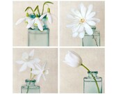 12x12 Large Photo Set, Flower Photos, Large Prints, Flower Prints, Floral Photographs, Flower Pictures, Botanical Prints, Wall Decor