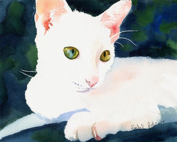 White Cat art PRINT of my watercolor painting Blue Eye Yellow Eye - rachelsstudio
