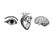 Zombie Eye Heart Brains rubber stamp I heart brains