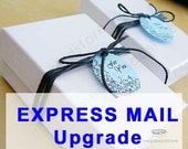 Upgrade Express Mail