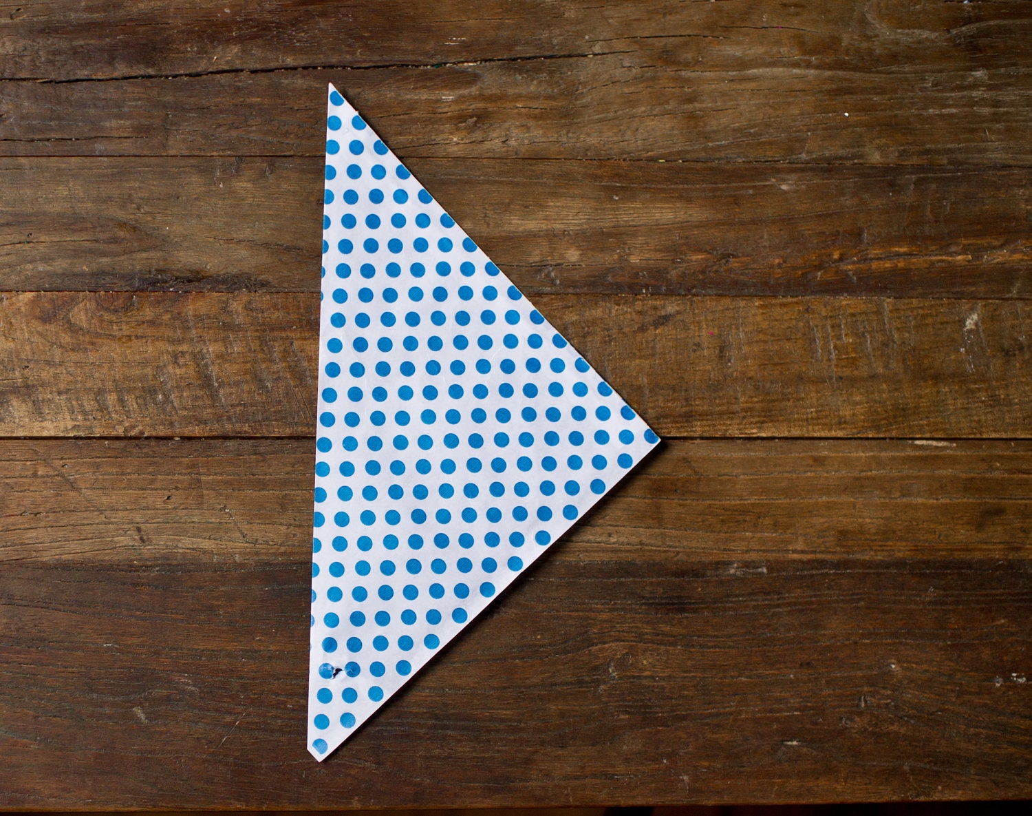24 polka dot paper cones - blue