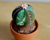 SALE Little Round Cactus