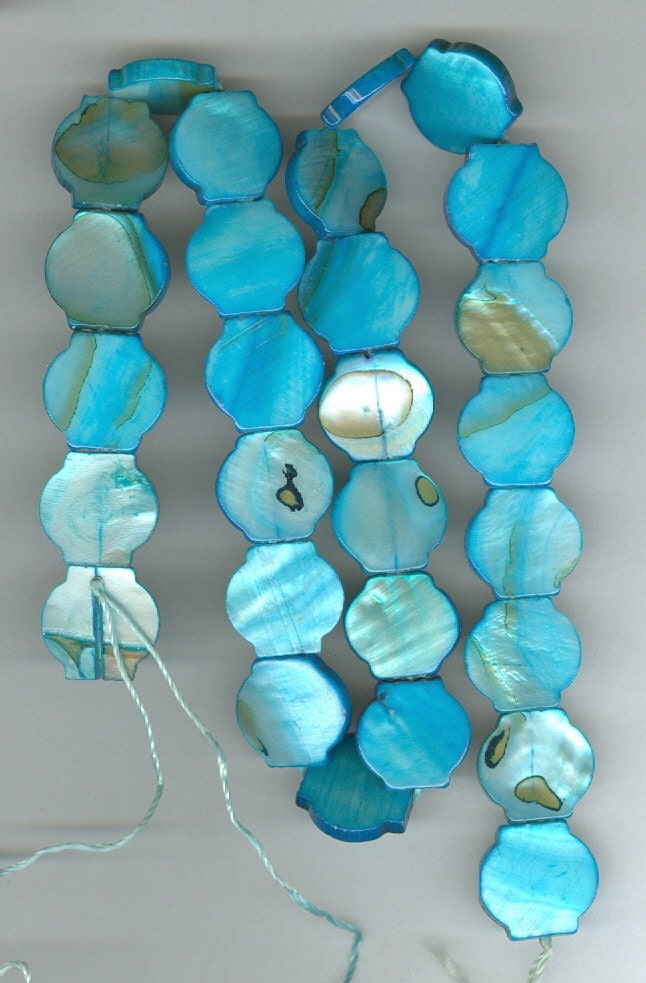 15x16mm Turquoise Blue Flat Stop Sign Shell Gemstone Beads