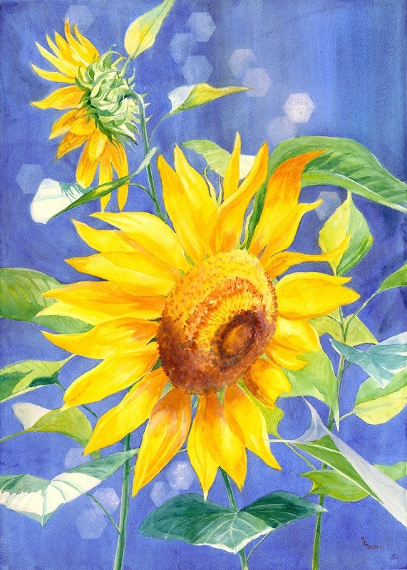 Sunflower giclee art print