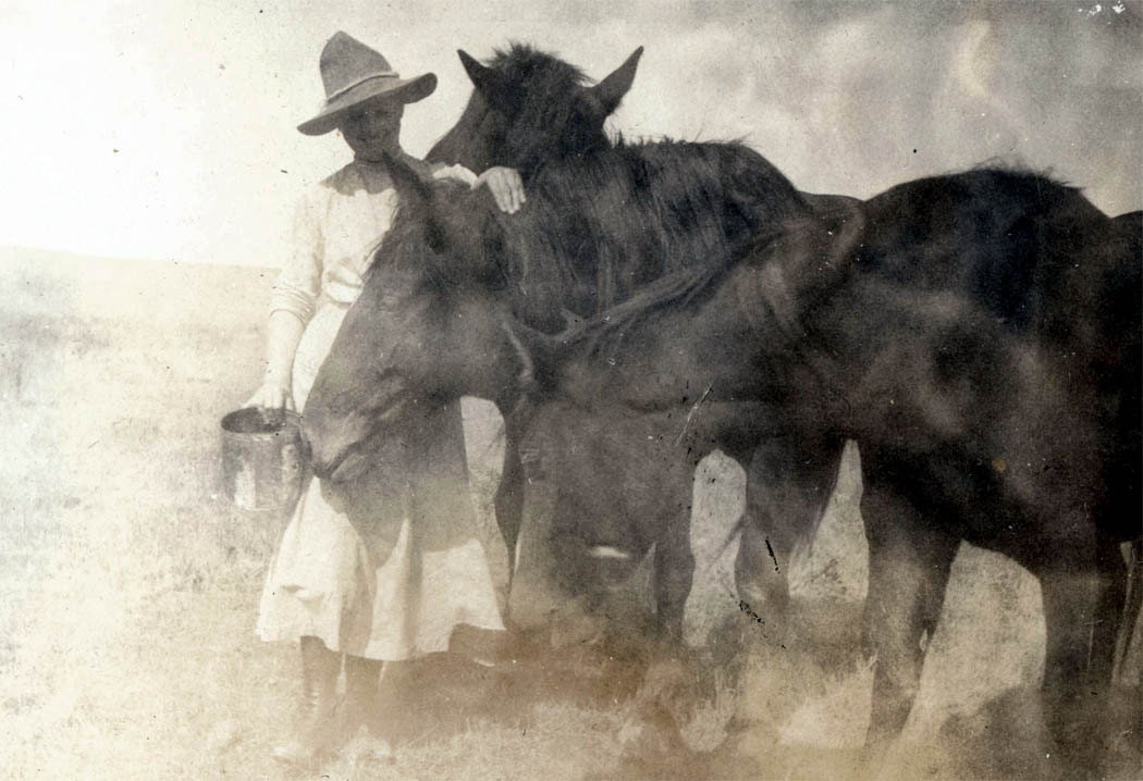 vintage photo Cowgirl Feeds her Beautiful horses