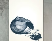 l'Coquille Print on Archival Paper: 18" x 24"