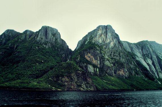 Dreamy Rugged Mountain Photograph  - Roots of the Mountains - 8"x12" Photograph Print