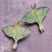 Little Luna Moth Hairclip - Handcrafted Leather Barrette