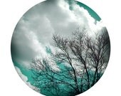 Aqua Blue Photography, Tree Photograph, Nature Photo, Trees, Aqua, Sky, Clouds - Round Image on an 8x10 inch Print - Listening