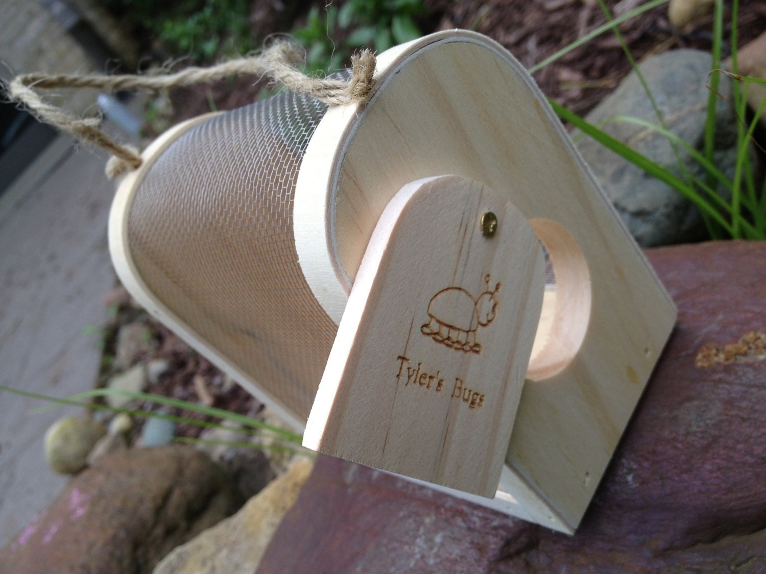 Personalized Bug Box, Bug Birthday Party Favor, Birthday Present, Laser Engraved Wood