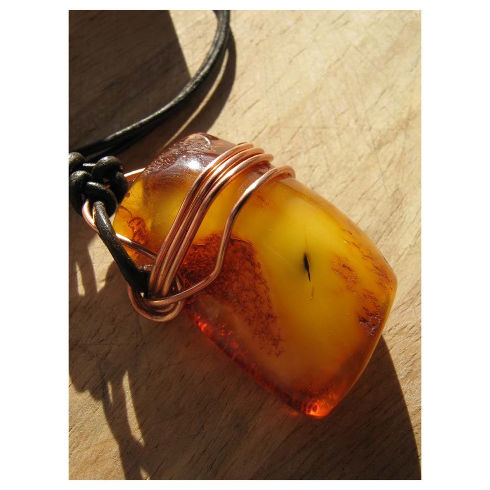 Natural - BALTIC AMBER - Encapsulated Wing
