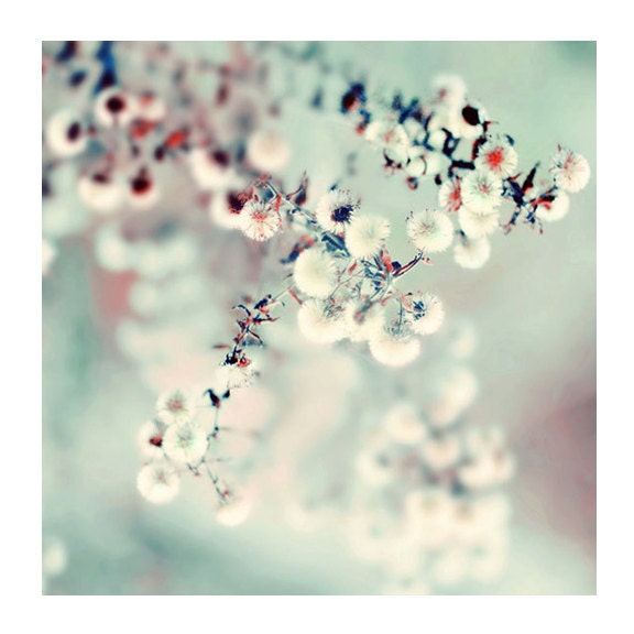 Ethereal Nature Photography, Midwinter Daydream, 5x5 Print,  Mint Green, Winter Photo, Color Photograph