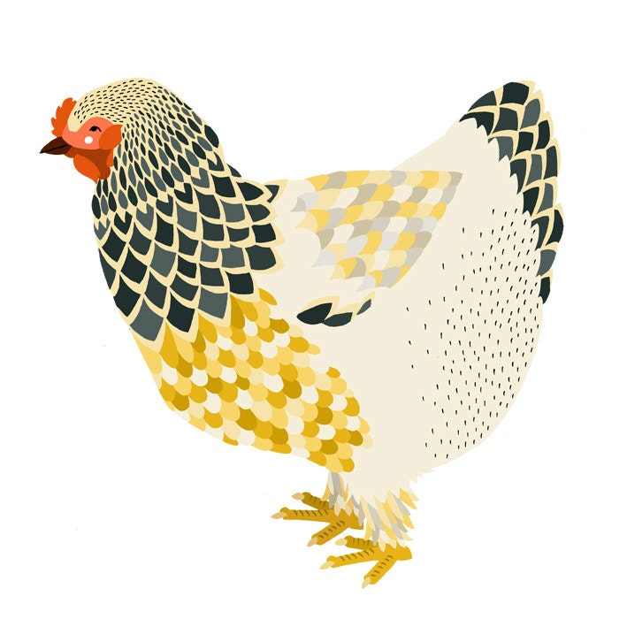 The Hen - Chicken Print - A3
