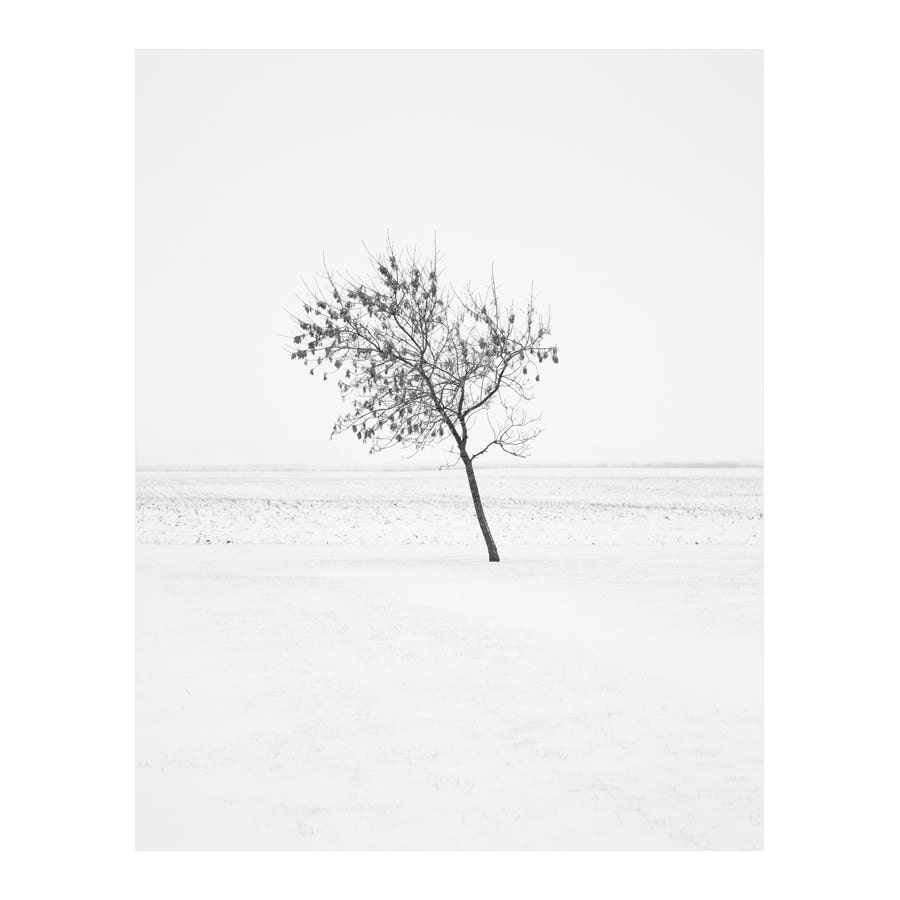 Frosty Gale - Black and White Winter Landscape Photography, Monochromatic, Leaning Tree, Snow, Field, Home Decor, Art, B&W Print - 8x10