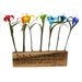 7 Colors Rainbow Lord Byron Quote Rustic Natural Poplar Wood with Origami Flowers by PaperDisciple and Tanja Sova