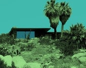 Palm Springs Edris House Dreamscape