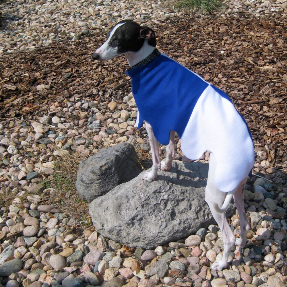 Italian Greyhound Blue and White Scalloped Medieval Barding sz large