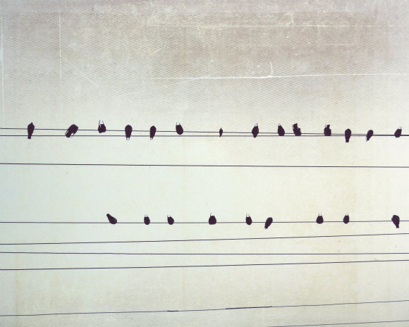 Birds on a wire Photography - Pale gray  - black bird wall art - city power lines photo - minimal modern 8x10 - A Few Notes