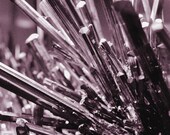 Mineral Photograph 8x10 metallic silver stibnite crystal cluster silver amethyst plum spikey wall art decor