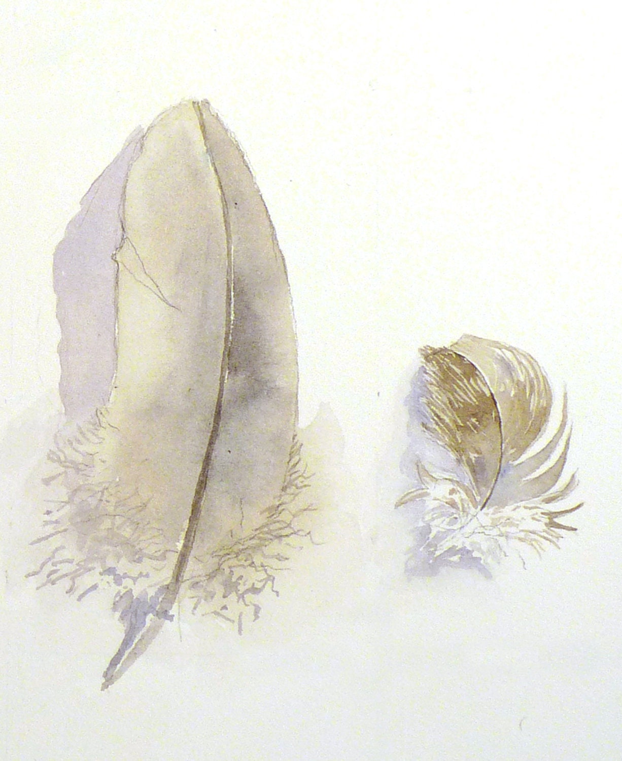 Art Painting Original Watercolor Bird Feathers Women Men Nature Woodlands Neutral Colors Nature White Grey Dorm 9.6 x 12.6 Under 70 USD