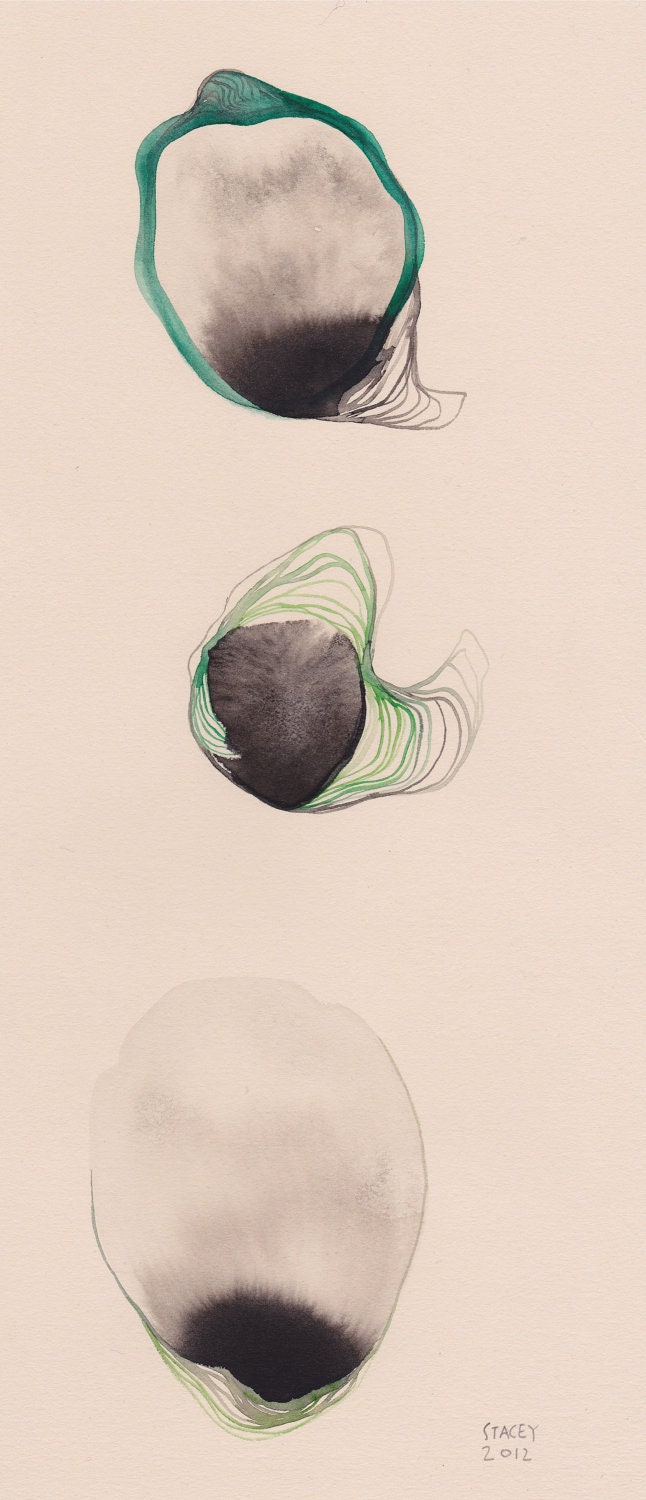 Original 'Oyster' illustration