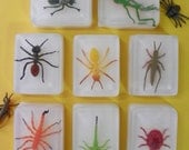 BUG SOAP - Cute, Perfect for kids  Toy bug embed