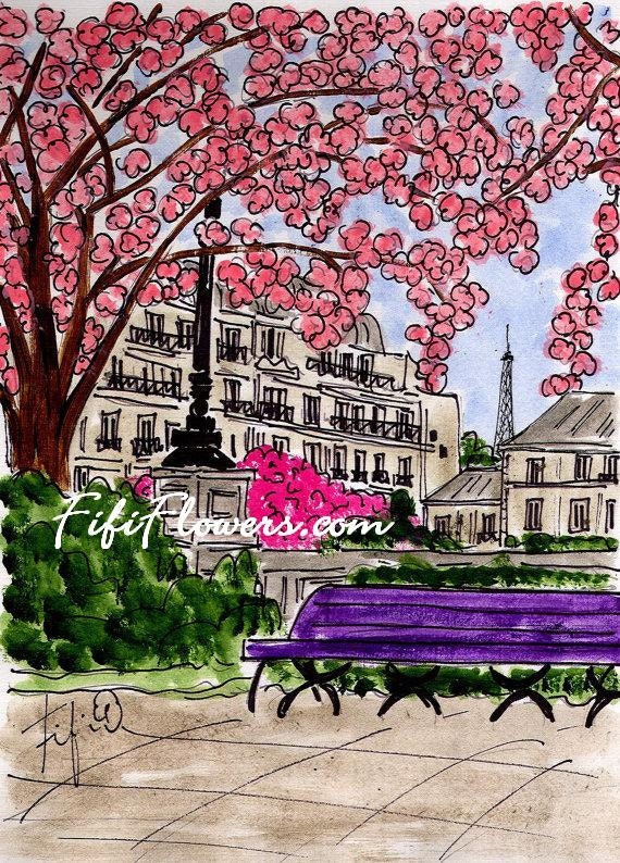 Pink Flowering Tree in Paris