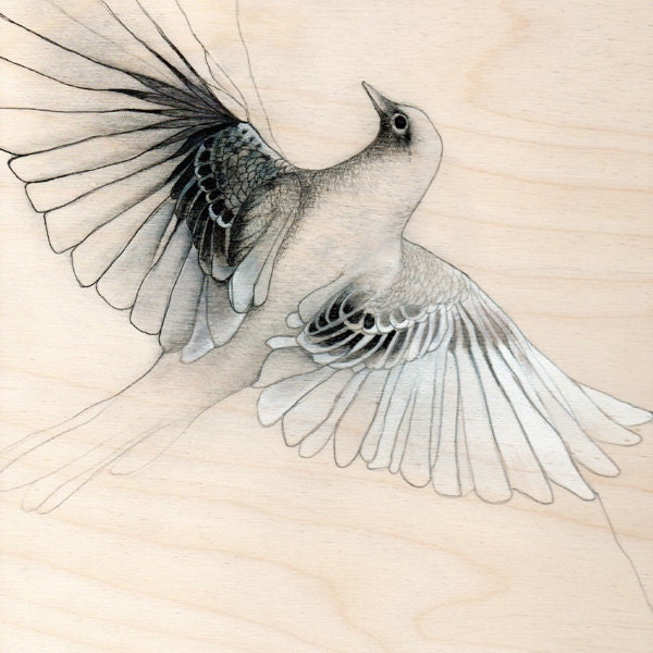 Bird Art Print Pencil Drawing Painting