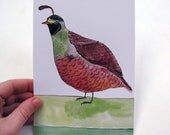 Quail print