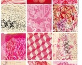 Pretty Pink Tags- Digital Download Set of 12 Sweet William illustrations