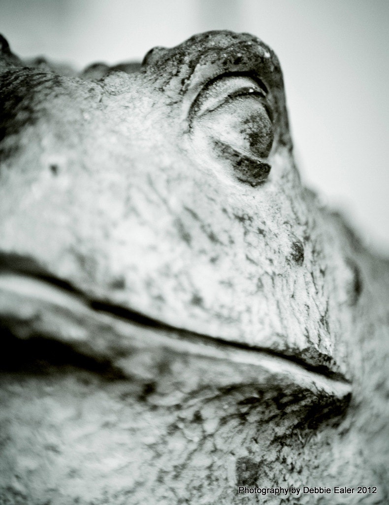 Froggy went a courting
