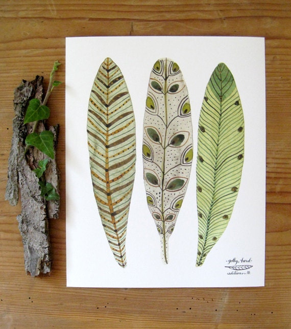 bird feathers art giclee print reproduction watercolor