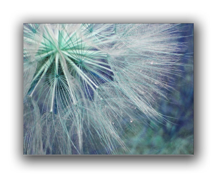 Dandelion Card -Nature Cards -Colorado Cards -Greeting Card Set -Blank Card -Birthday -Thank You -Blank Card Set of 6
