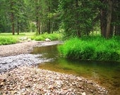 Forest Photos -River Pictures -Rocky Mountain National Park -Enchanted Forest -Home Decor Art -Colorado Fine Art Photography -8x10 Print