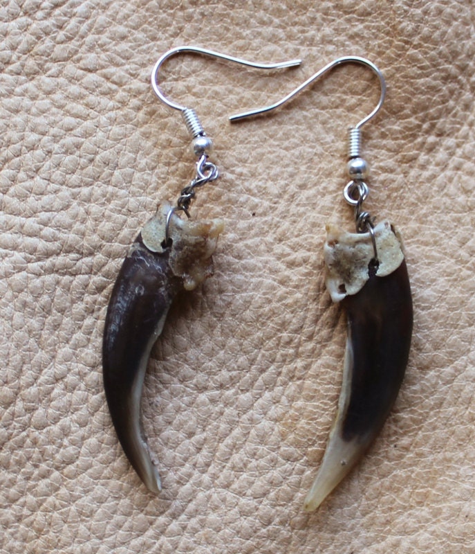 Real badger front claw earrings