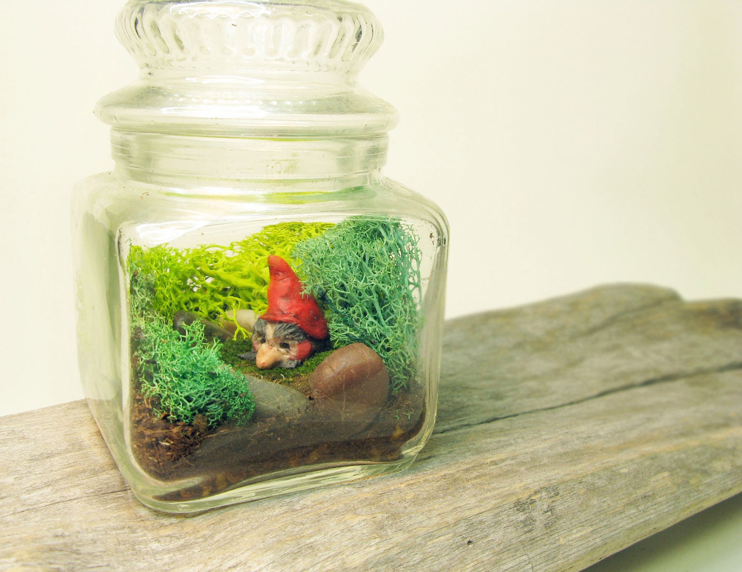 Terrarium with sneaky gnome, vintage Mr. Peanut jar
