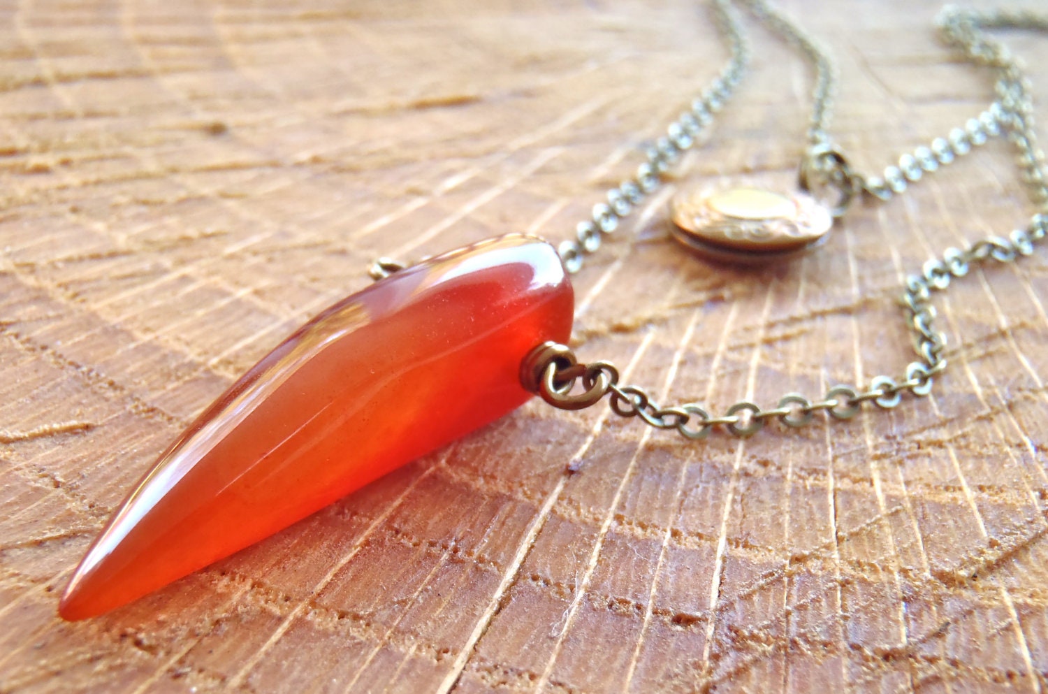 N239 Agate Talon and Tiny Locket Necklace