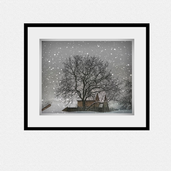 Winter Photography, white, tree, barn, snow, winter home decor, Snow Barn, nature fine art photography print 8x10
