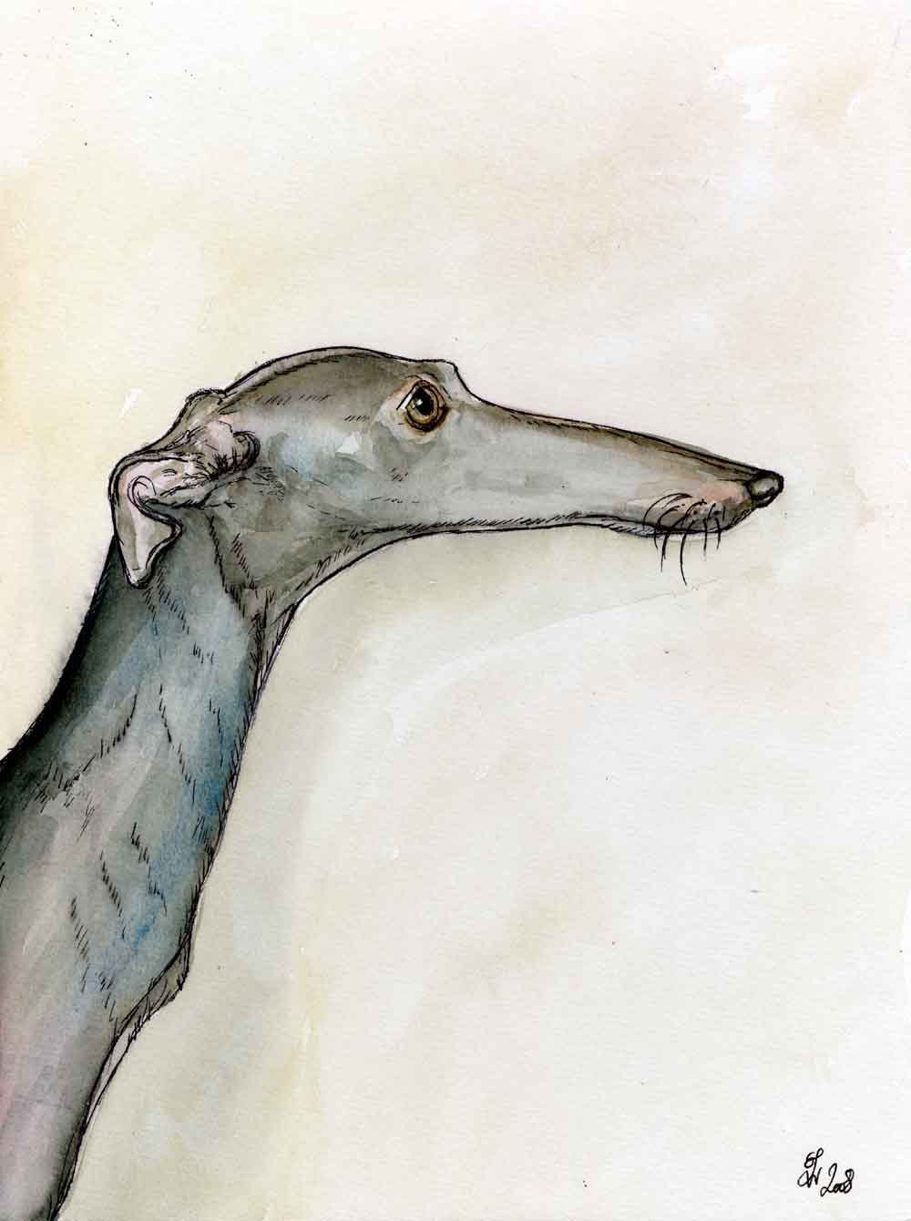 A Little Uncomplicated - GREETING CARD Italian Greyhound Art Print