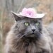 Cat Hat - Pet Bonnet