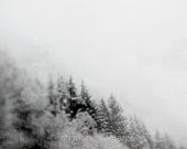 Winter Photography, Art, Black and White, Nature, Trees, Ice, Snow, Fits an 8x10 Frame
