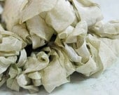 Crinkled Ribbon- Sage