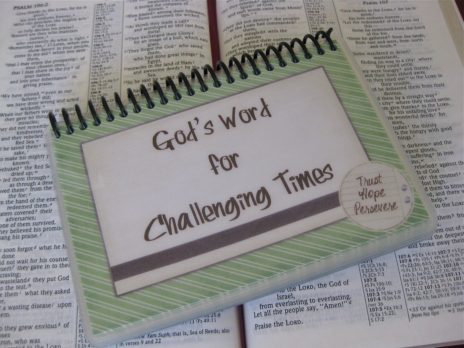 Laminated Bible Verse Cards, God's Word for Challenging Times, Spiral-Bound