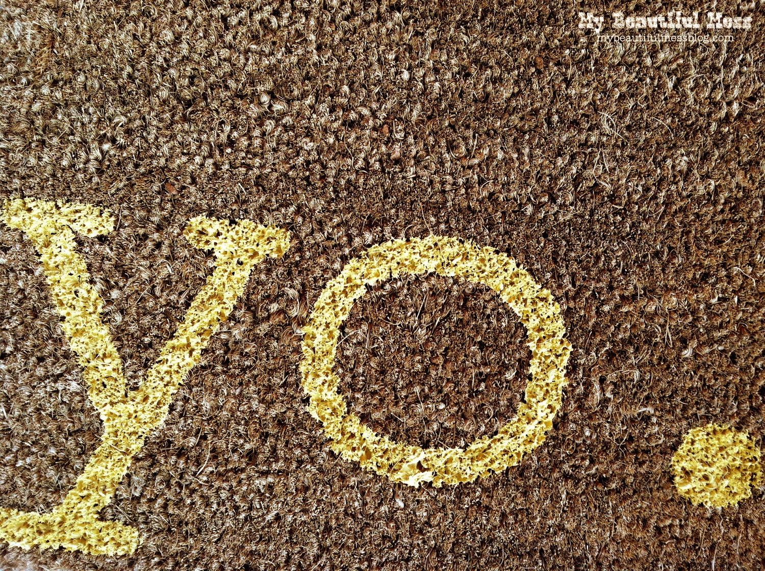 Witty Hand Painted Coir Welcome Mat - yo. - Choose Your Color