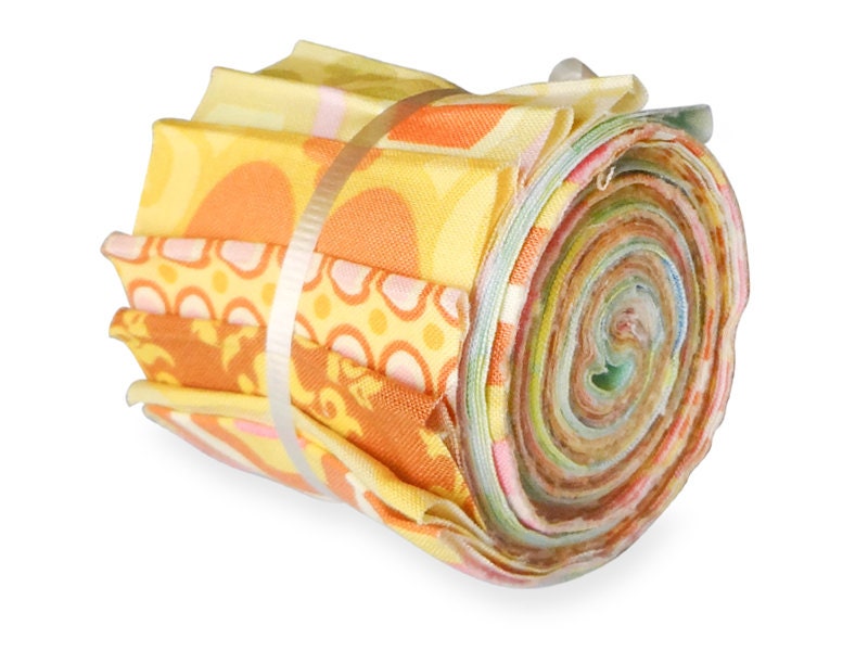 Amy Butler Fabric Midwest Modern Collection Pre-Cut Fabric Strips / Jelly Roll ABJRMM