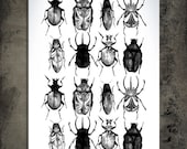 Stop bugging me, black,  print A4, 210x297 mm
